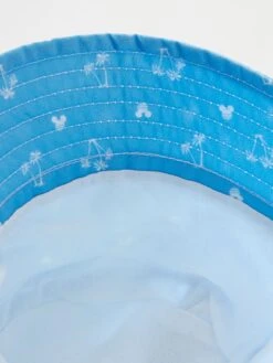 Bob 'Mickey' 'Disney'