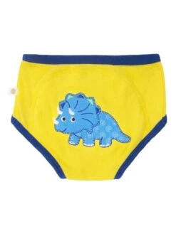 Culottes D'apprentissage En Coton Biologique Pour Garçon, Dinosaures -Kiabi culottes dapprentissage en coton biologique pour garcon dinosaures multicolore bdq22 1 frb3