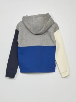 Sweat à Capuche 'color-block' En Molleton -Kiabi sweat a capuche color block en molleton grisbleu zk162 2 frb4