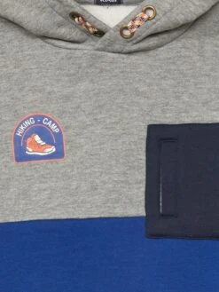 Sweat à Capuche 'color-block' En Molleton