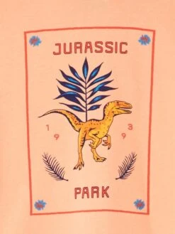 Sweat à Capuche En Molleton 'Jurassic Park'