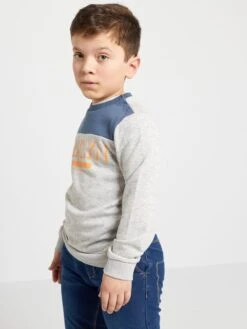 Sweat En French Terry Avec Imprimé -Kiabi sweat en french terry avec imprime gris zr023 1 frb4