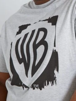 T-shirt 'Warner Bros' à Col Rond -Kiabi t shirt warner bros a col rond gris chine abb11 1 frb3